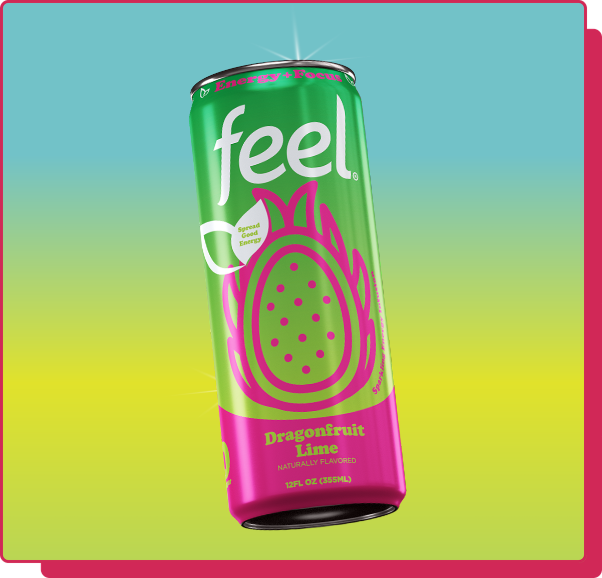 FEEL - DL product v2